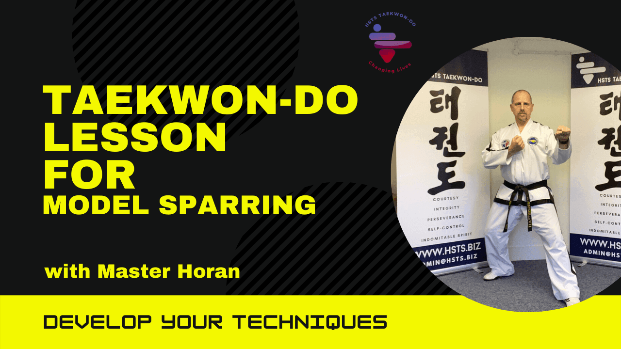 Model Sparring