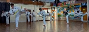 Adult Taekwon-Do class in Stevenage practising kicks at HSTS